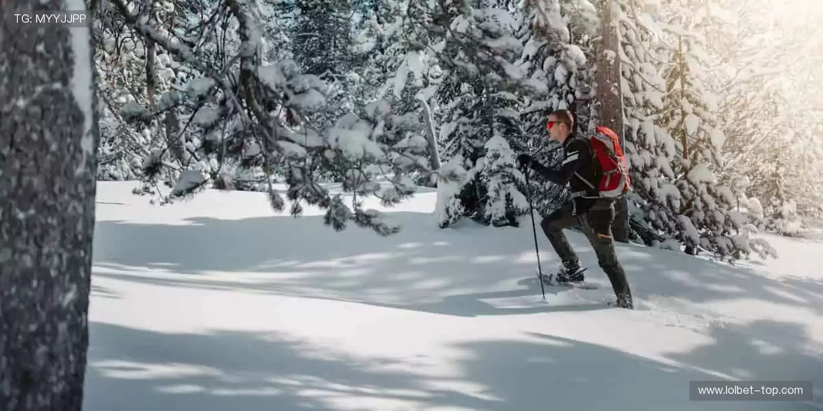 🎁收藏热爱，见证传奇！体育周边官网，限量正品，让每一件都是独家记忆！🏆🔥